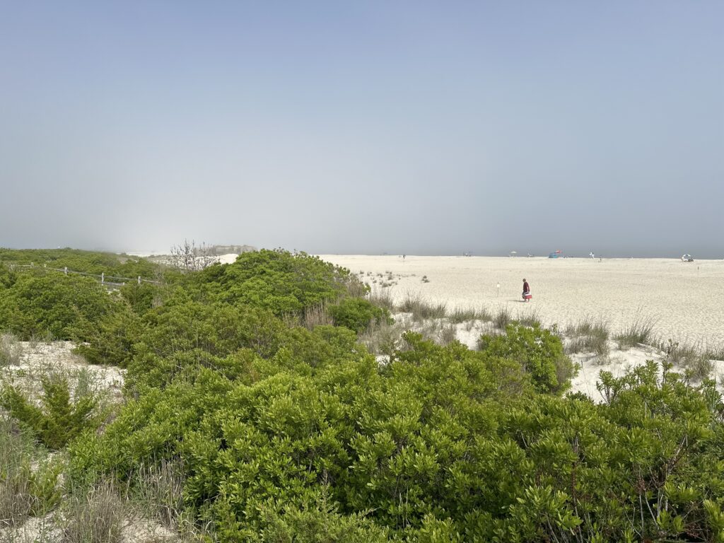 a person walking on a beach (MyCoast AI)