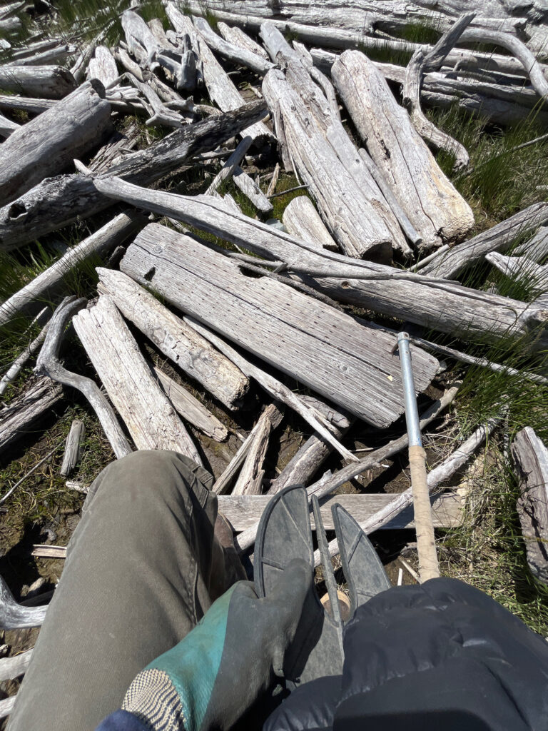 a person's feet on a pile of cut down trees (MyCoast AI)