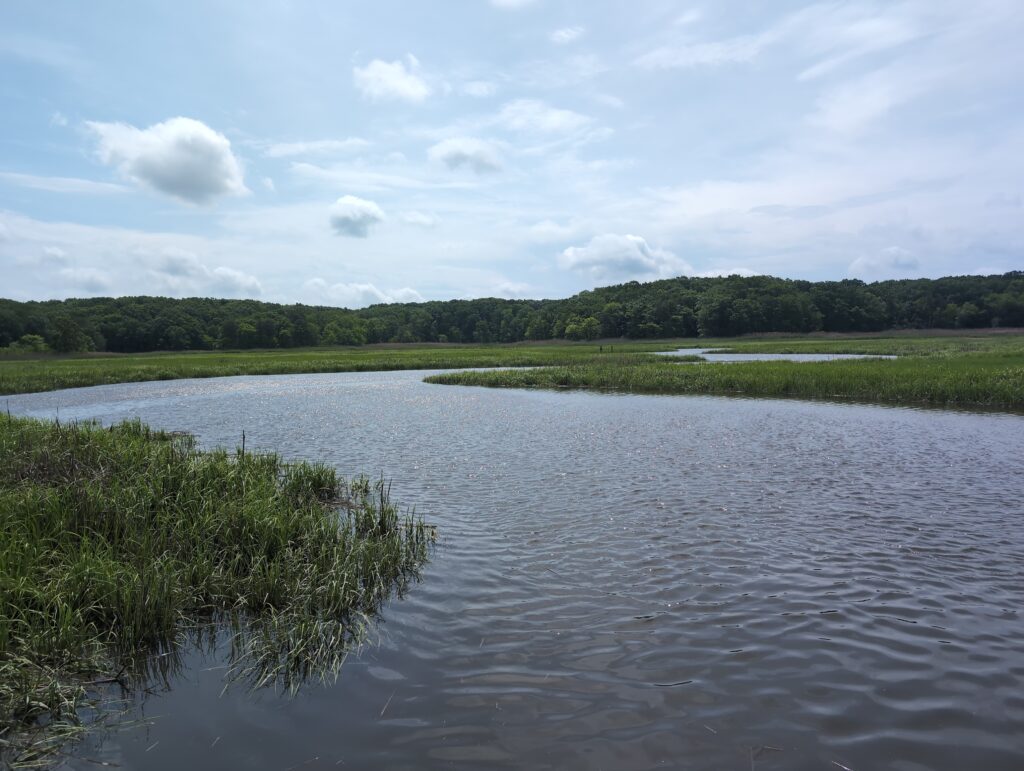a body of water with grass and trees around it (MyCoast AI)