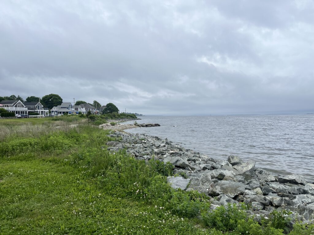 a rocky beach with houses and grass (MyCoast AI)