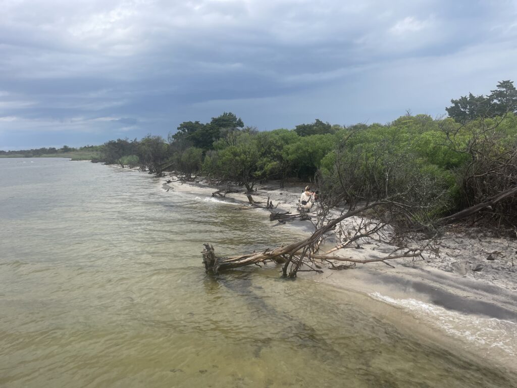 a river with a tree branch in the middle (MyCoast AI)