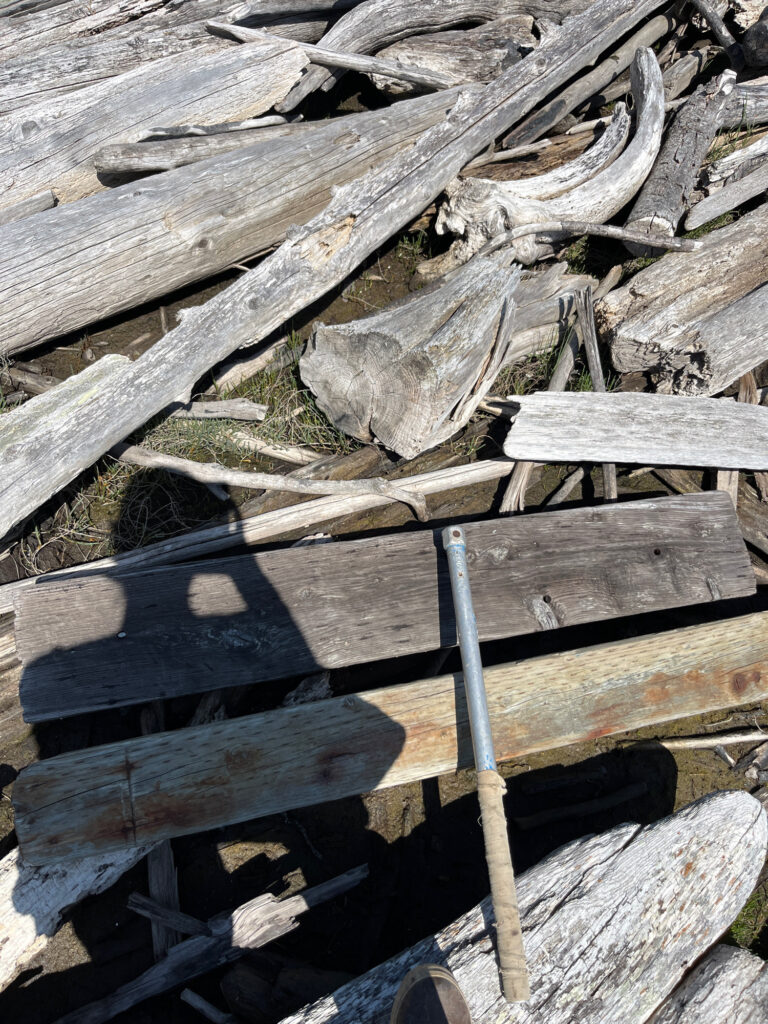 a pile of wood (MyCoast AI)