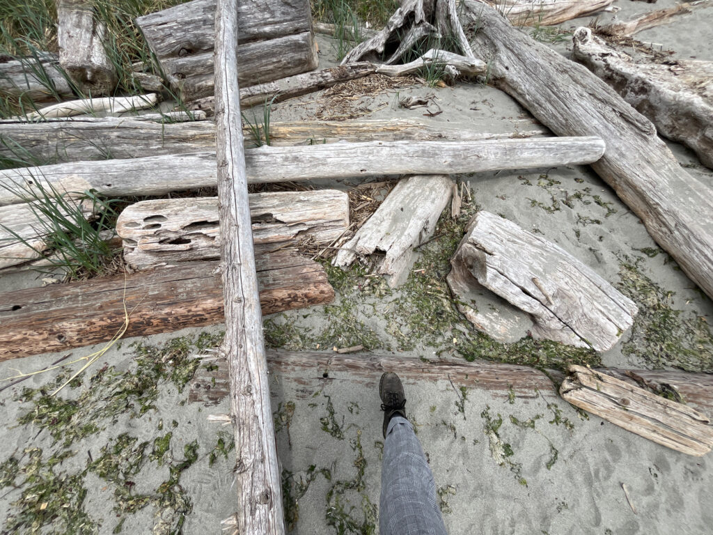 a wooden fence with a log (MyCoast AI)