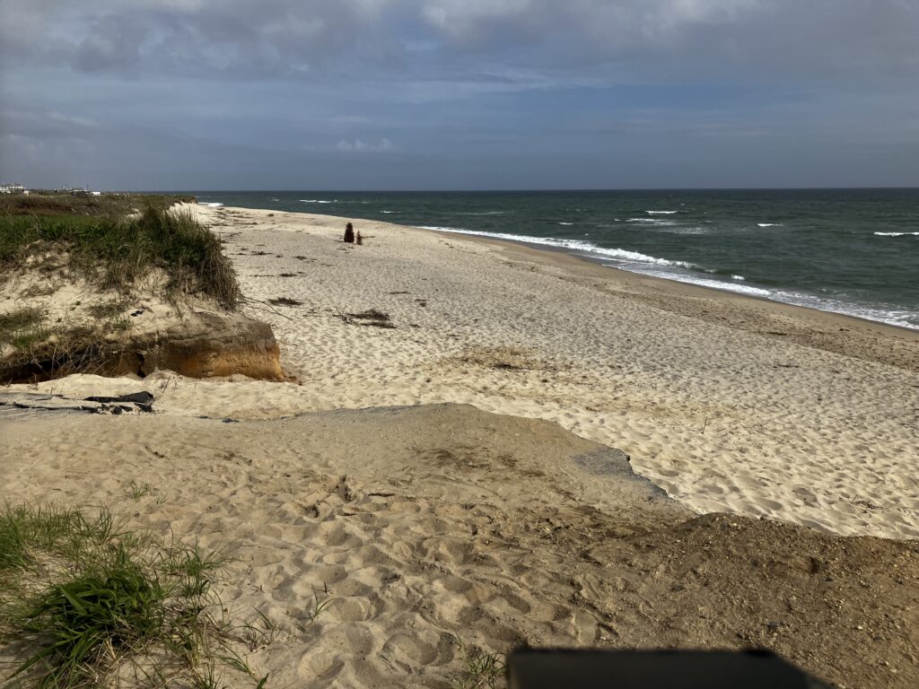 a sandy beach with a person walking on it (MyCoast AI)