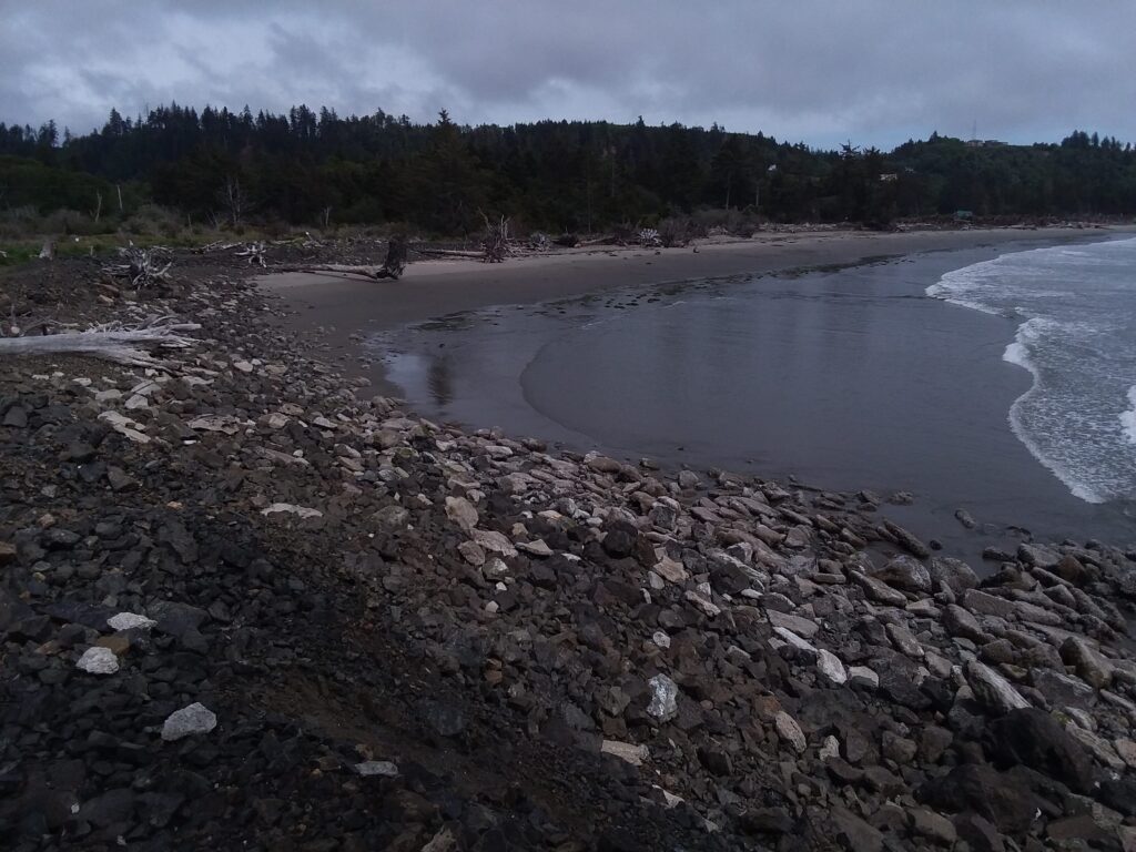 a rocky beach with a body of water and trees in the background (MyCoast AI)