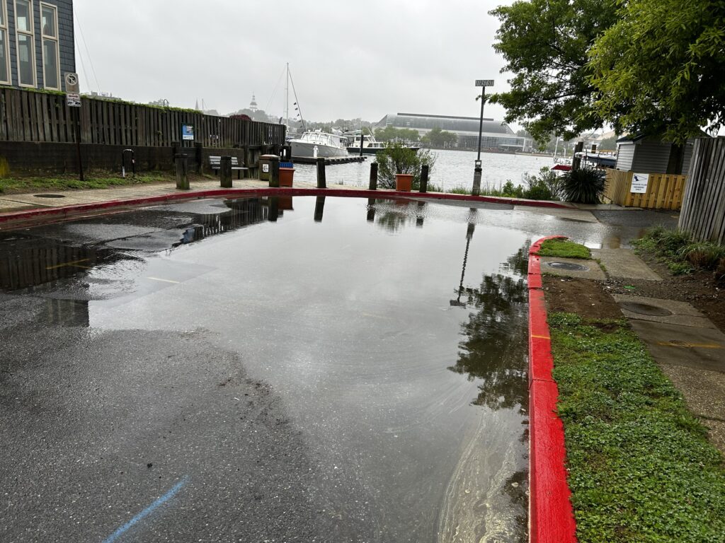 a flooded street with a red curb (MyCoast AI)