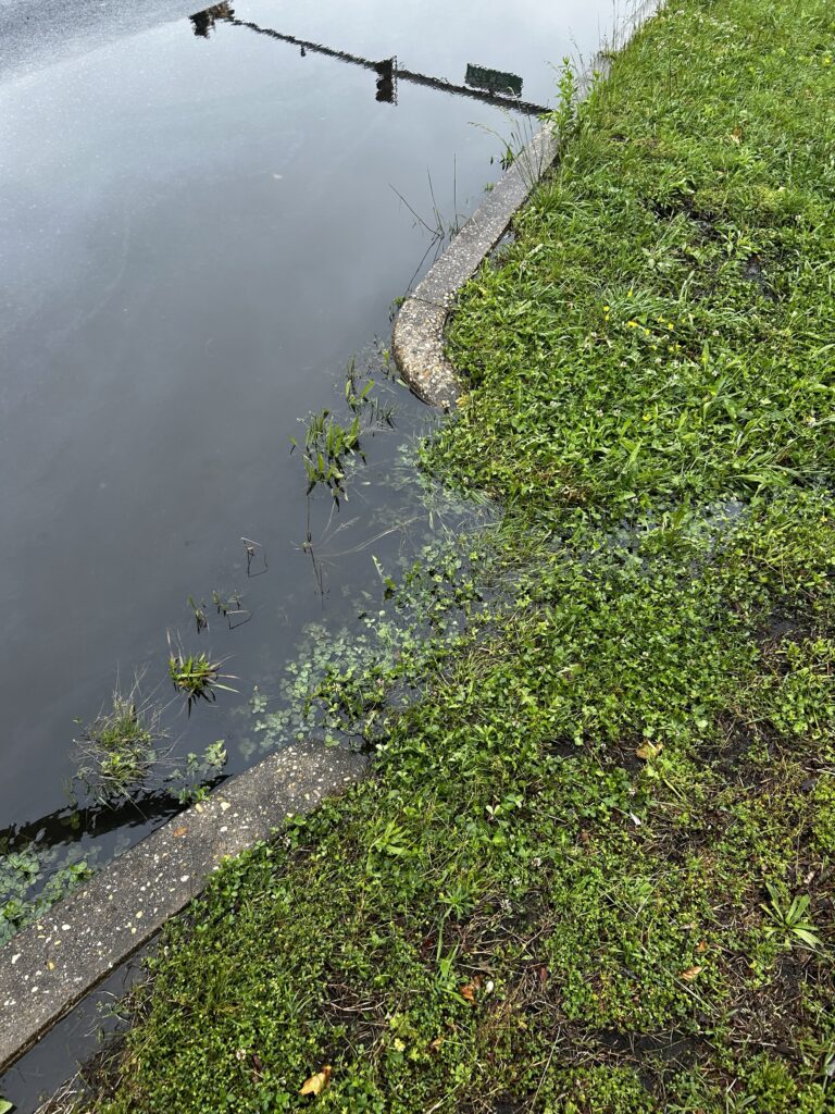 a body of water with grass and trees around it (MyCoast AI)