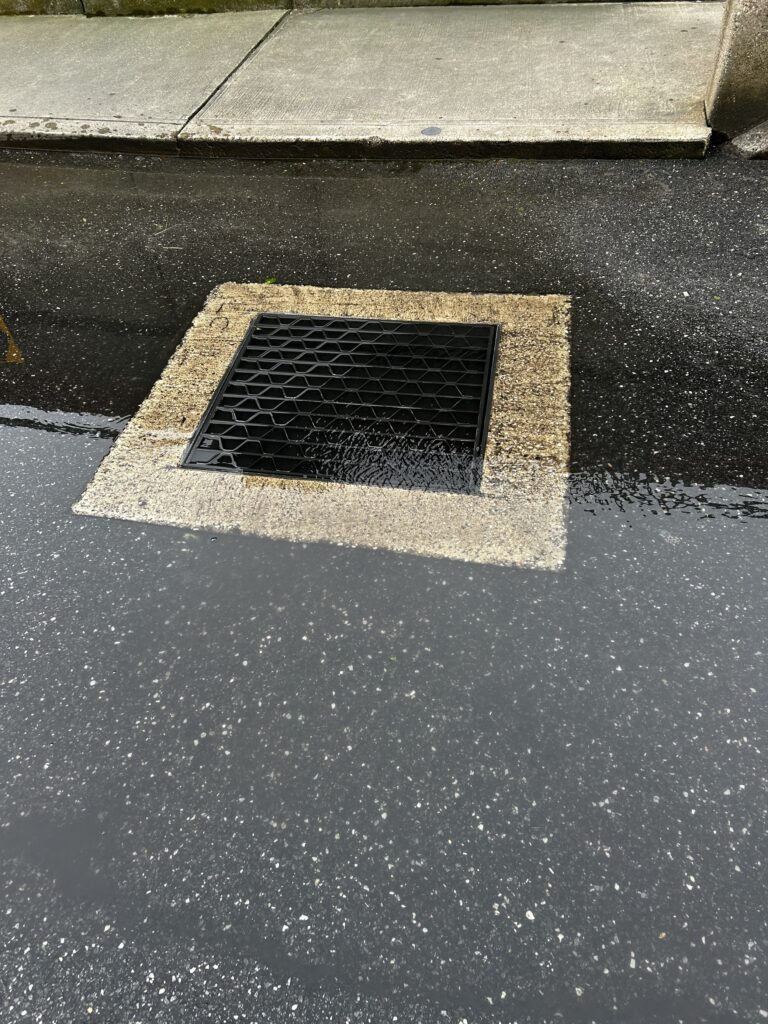 a black and white drain grate on a street (MyCoast AI)