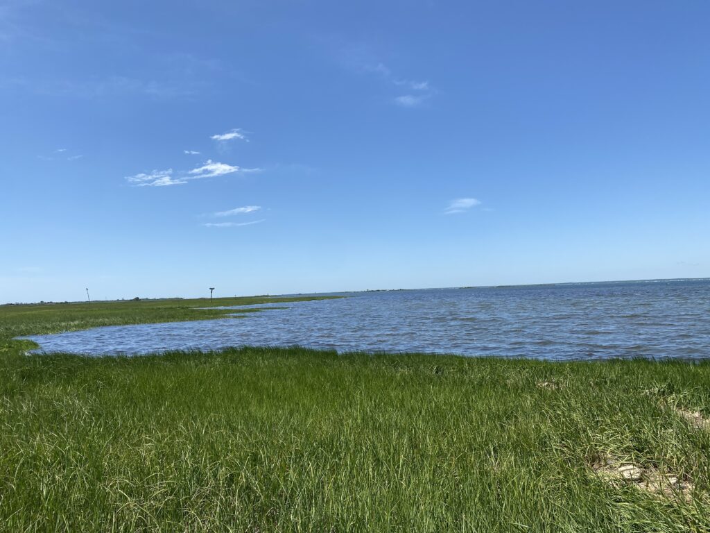 a body of water with grass and a land with a blue sky (MyCoast AI)