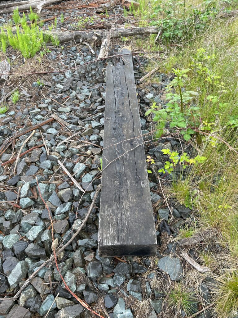 a wooden cross on a rocky path (MyCoast AI)