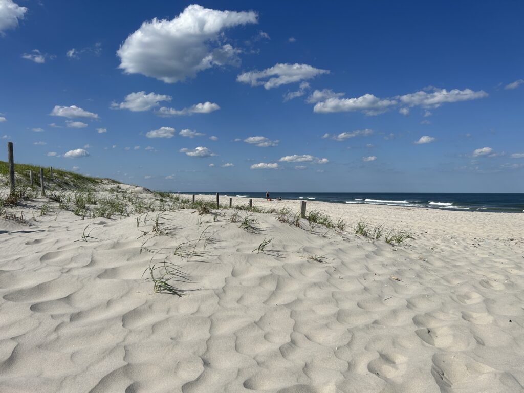a sandy beach with a body of water in the background (MyCoast AI)