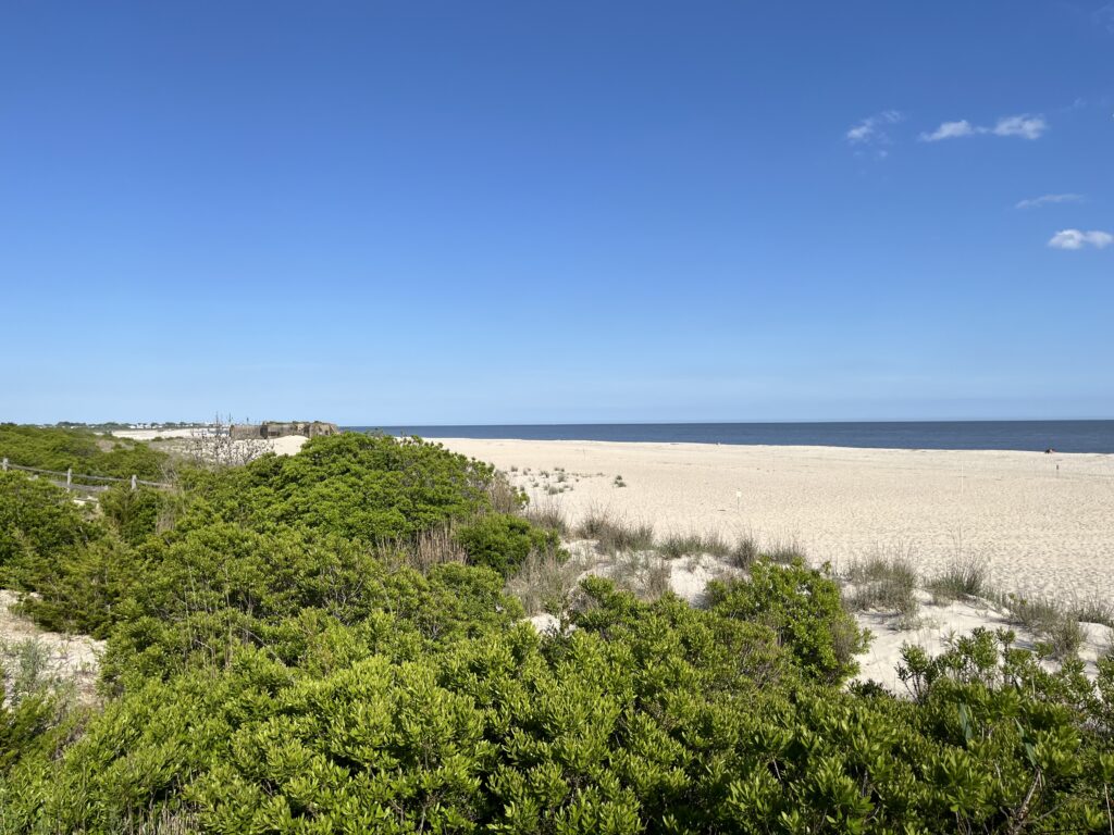 a sandy beach with trees (MyCoast AI)