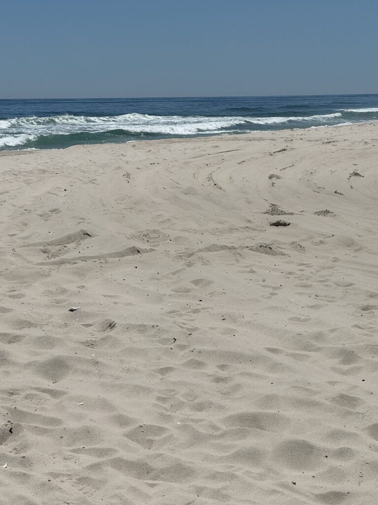a beach with waves and sand (MyCoast AI)