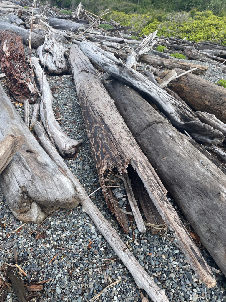 a group of logs (MyCoast AI)