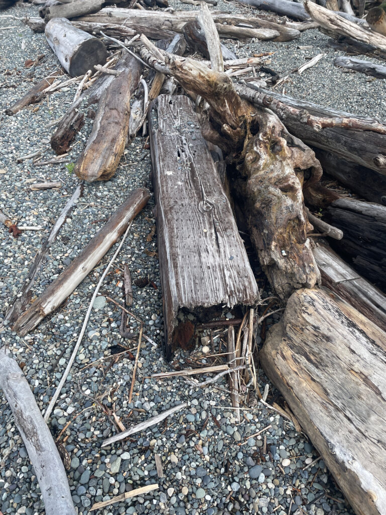 a group of wood pieces (MyCoast AI)