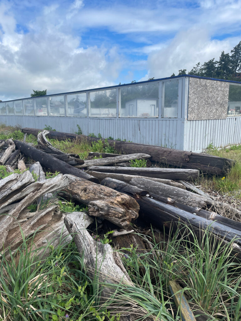 a pile of cut down trees in front of a building (MyCoast AI)