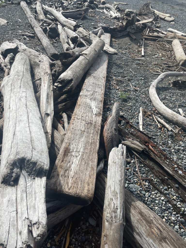 a group of logs (MyCoast AI)
