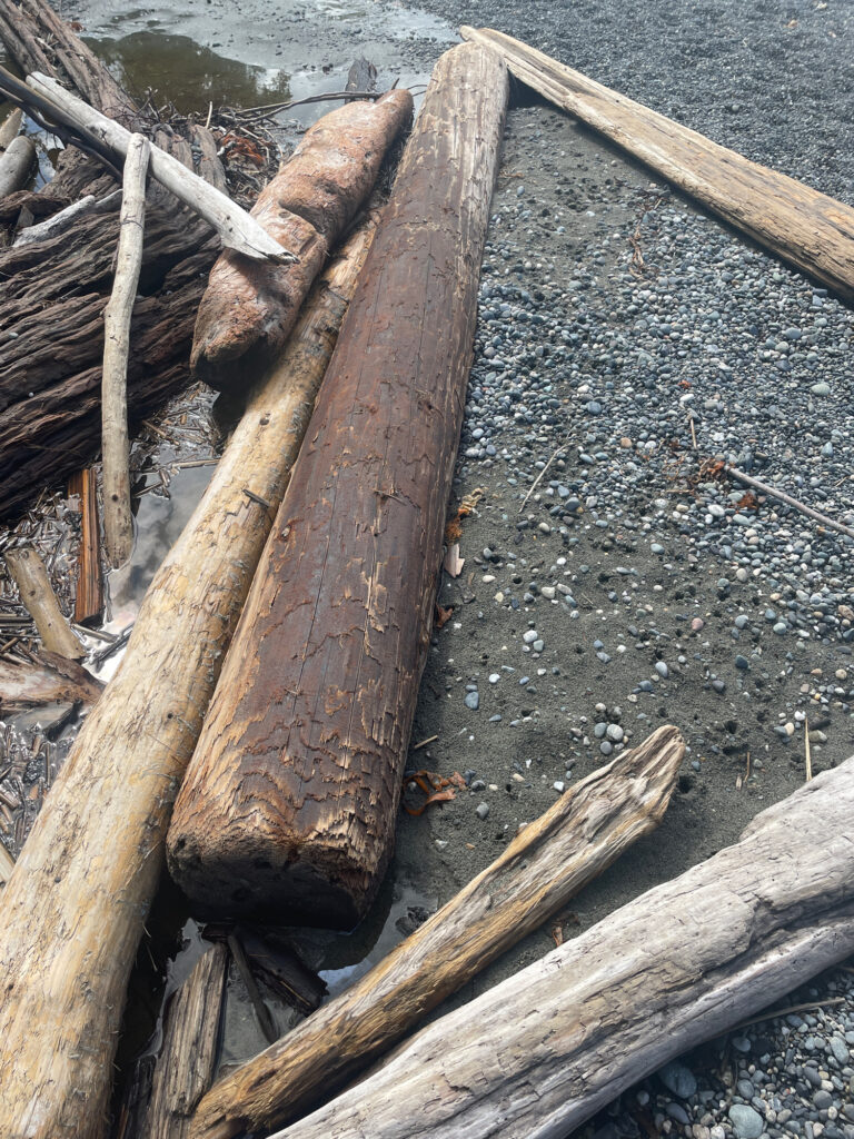 a wooden boat on the ground (MyCoast AI)
