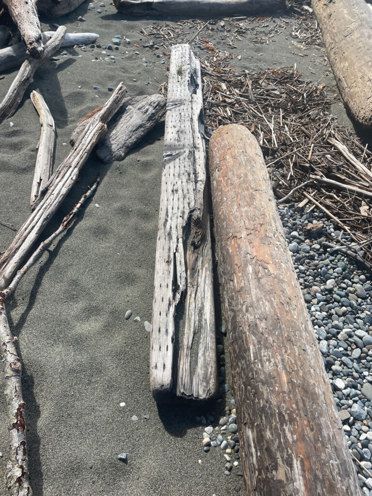 a group of wood logs (MyCoast AI)