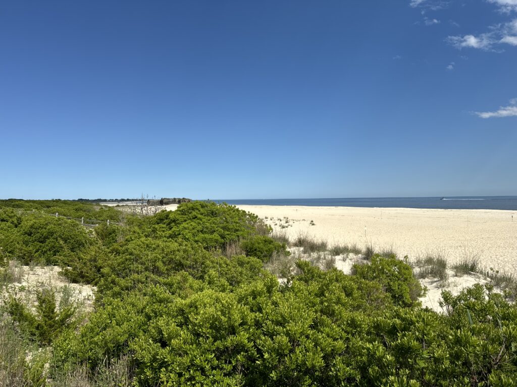 a sandy beach with trees (MyCoast AI)