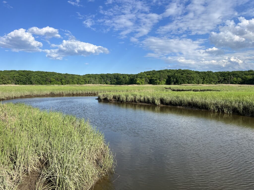 a body of water with grass and trees around it (MyCoast AI)