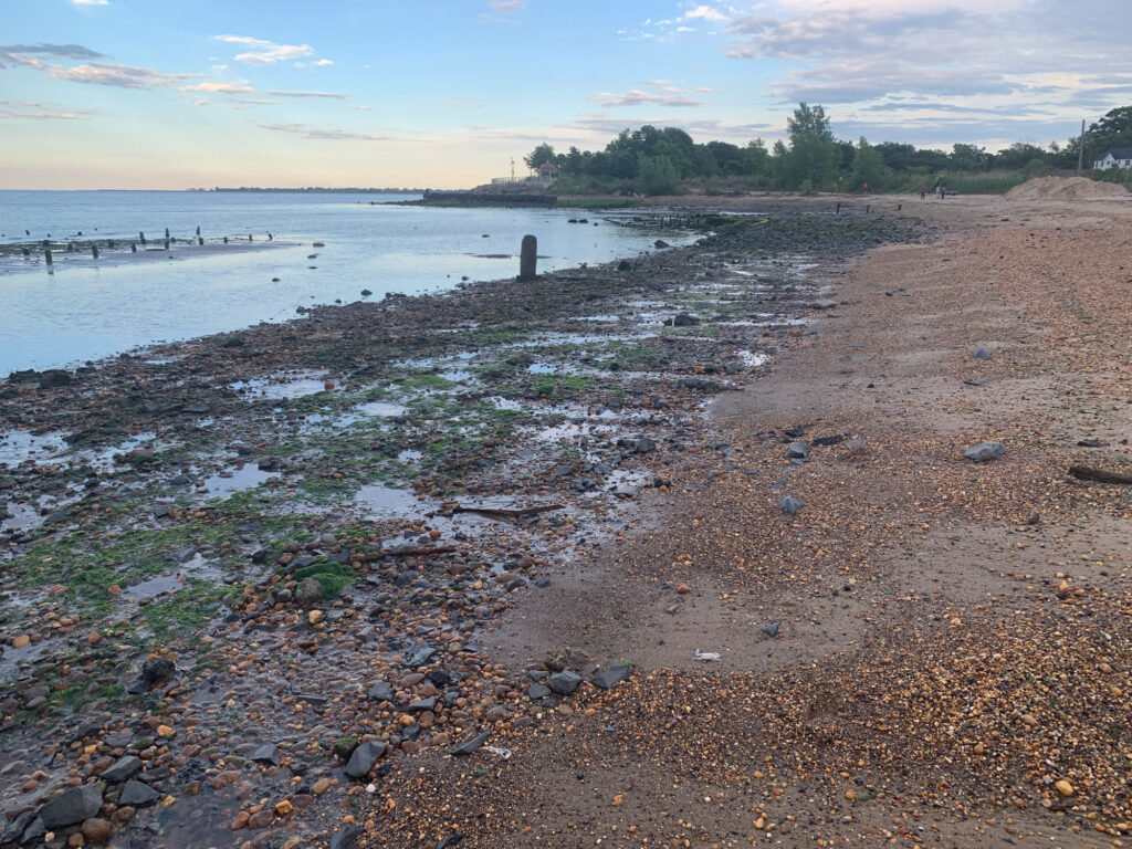 a rocky beach with a body of water and trees in the background (MyCoast AI)