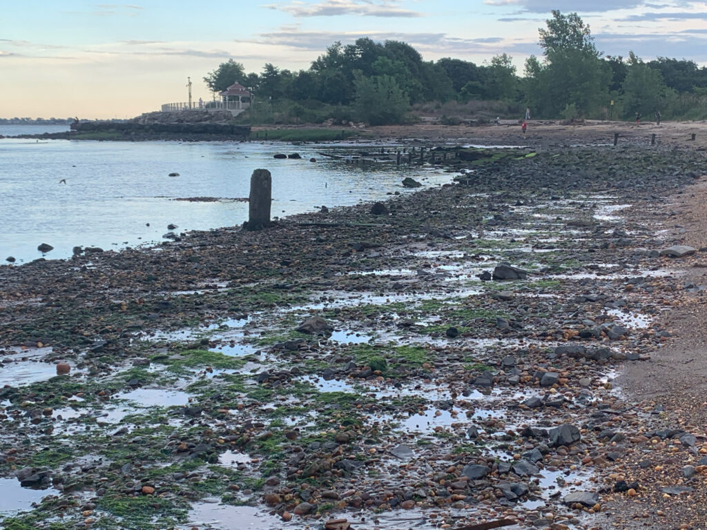 a rocky beach with a house in the background (MyCoast AI)