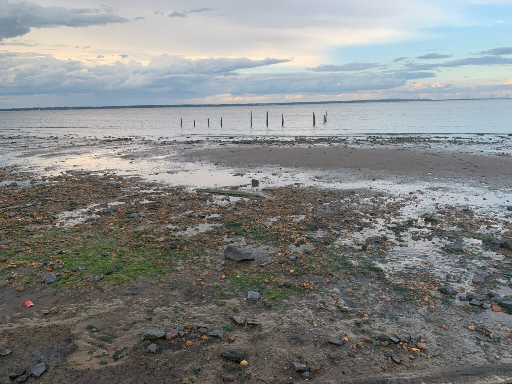 a beach with rocks and water (MyCoast AI)