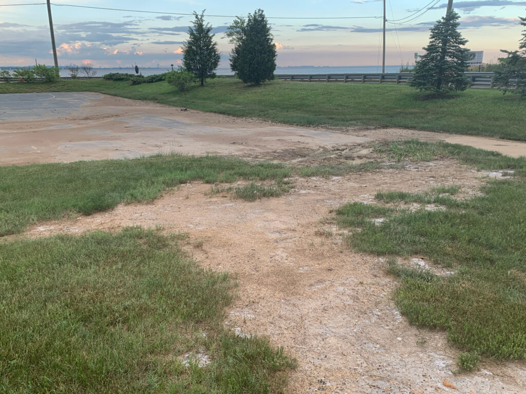 a dirt path with grass and trees (MyCoast AI)