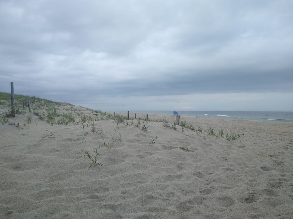 a sandy beach with a fence and plants (MyCoast AI)