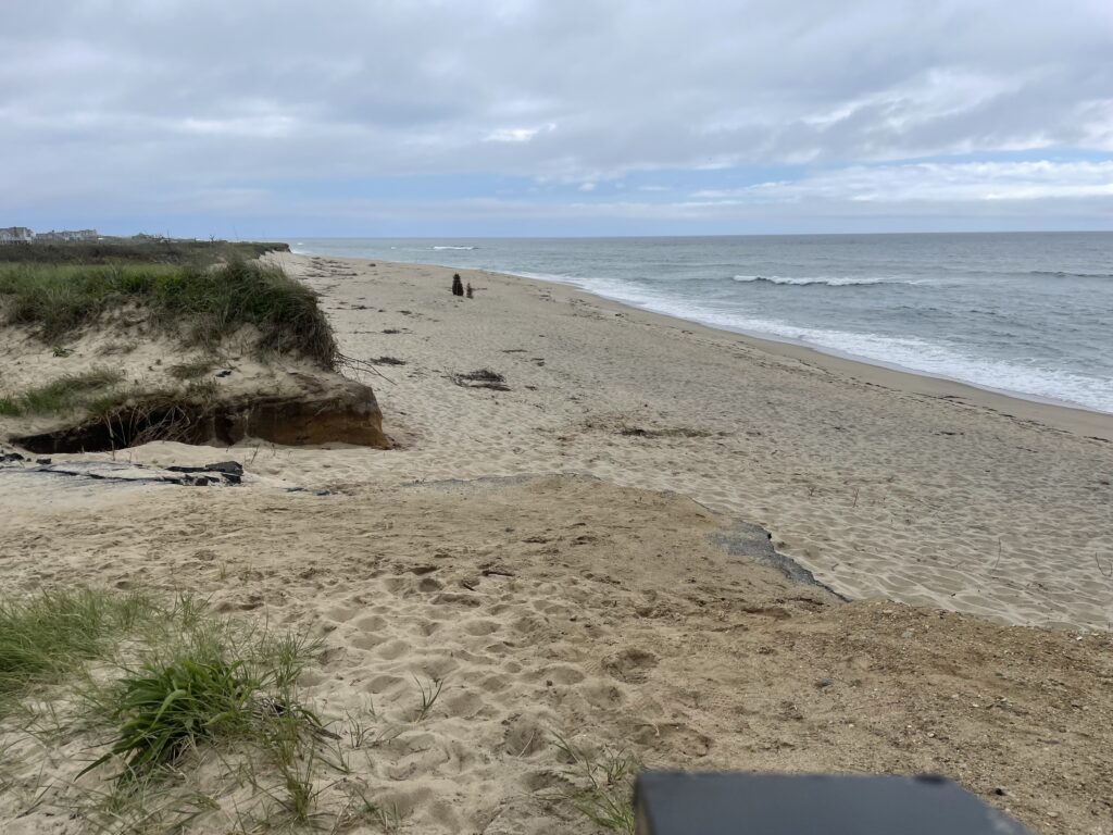a sandy beach with a body of water in the background (MyCoast AI)