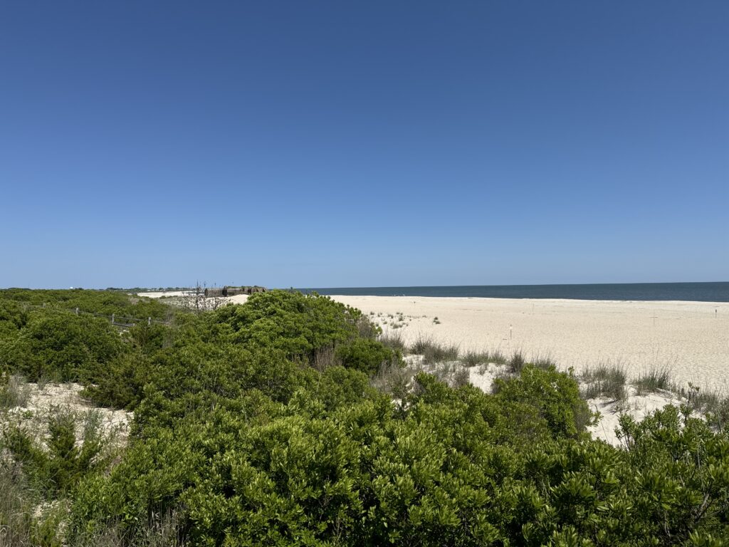 a beach with trees and bushes (MyCoast AI)