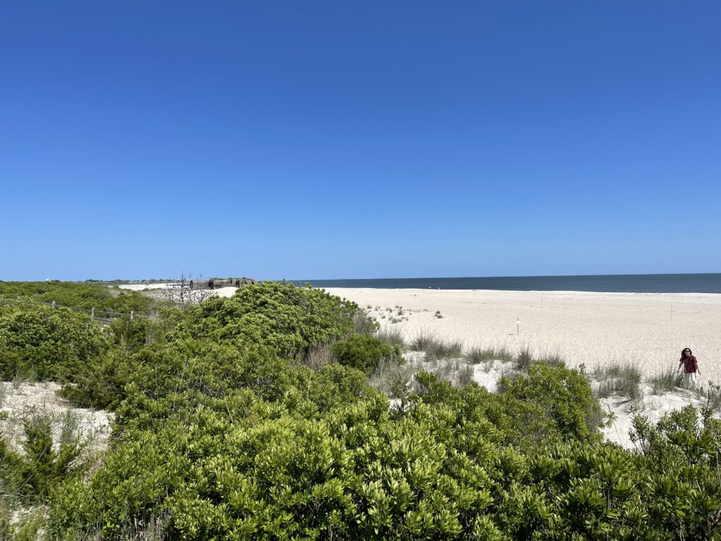 a person walking on a beach (MyCoast AI)