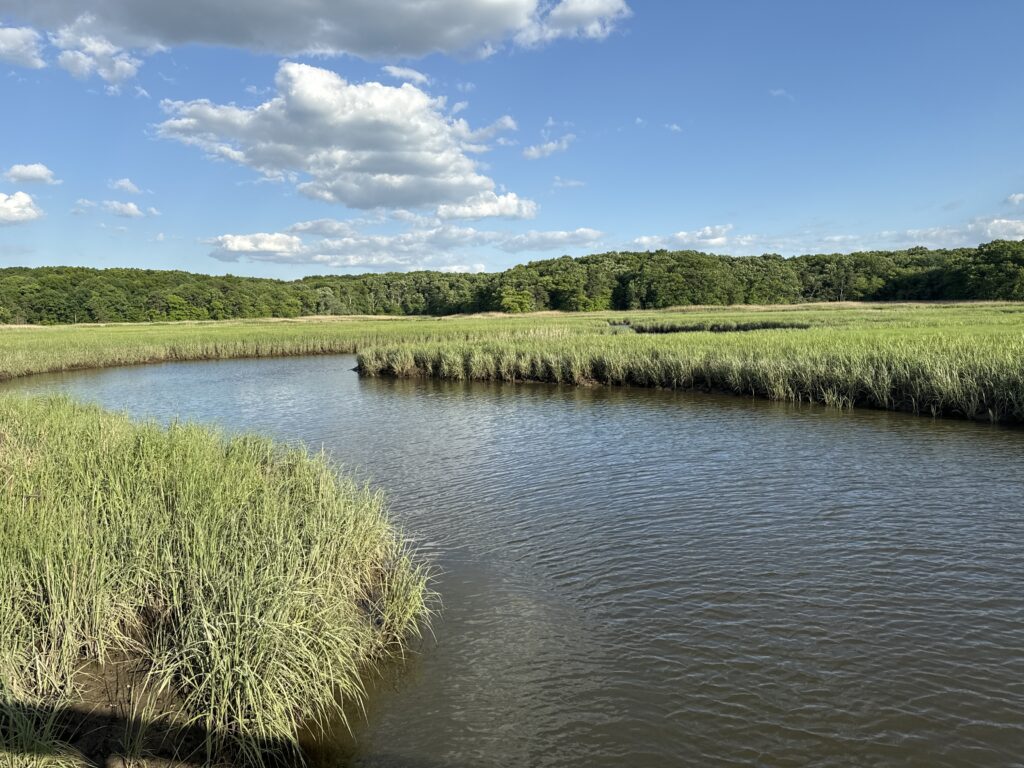 a river with grass and trees (MyCoast AI)