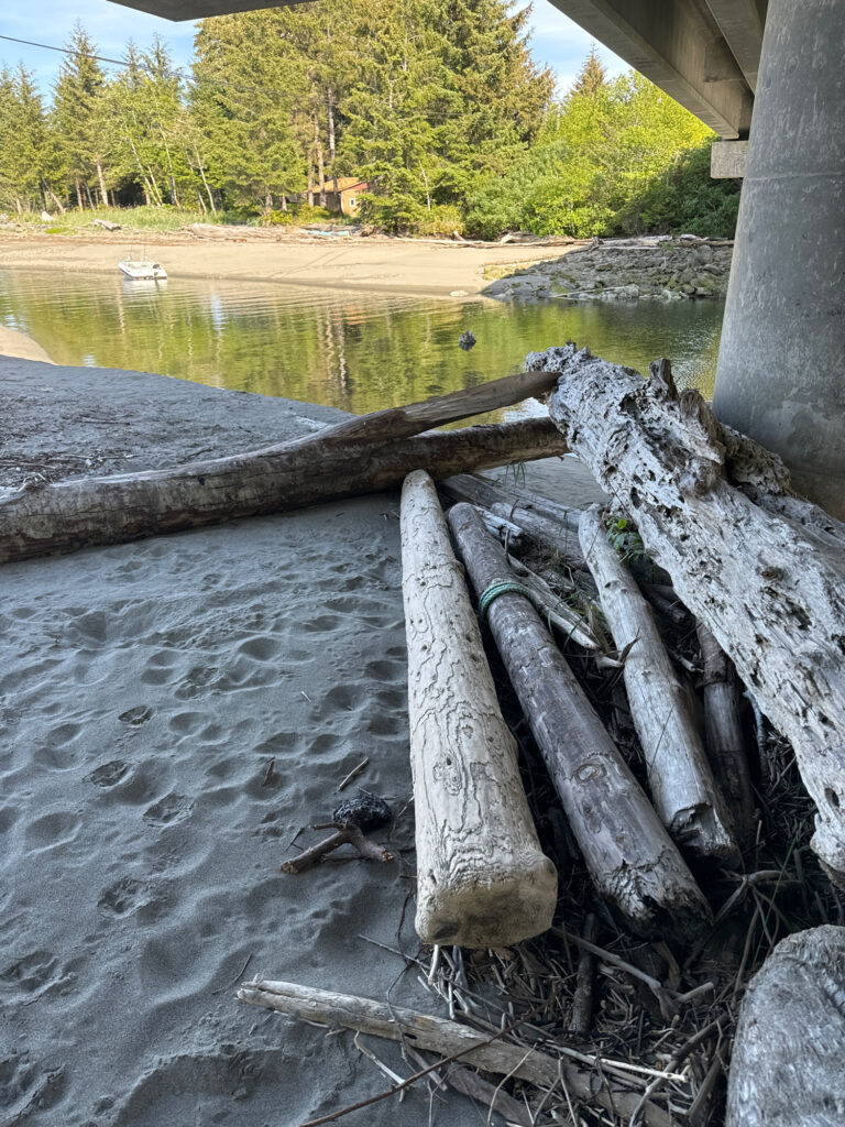 a group of logs in a river (MyCoast AI)