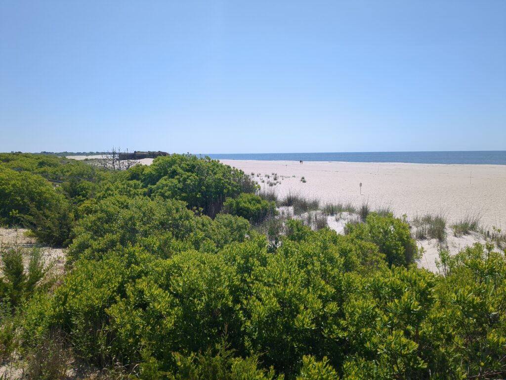 a landscape with trees and water (MyCoast AI)