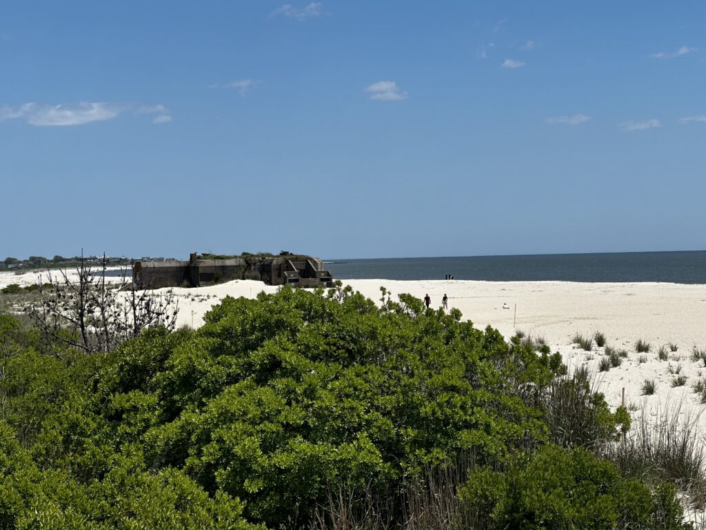 a beach with trees and a building (MyCoast AI)