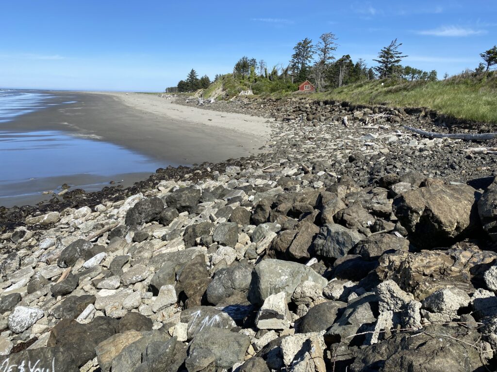 a rocky beach with trees and water (MyCoast AI)