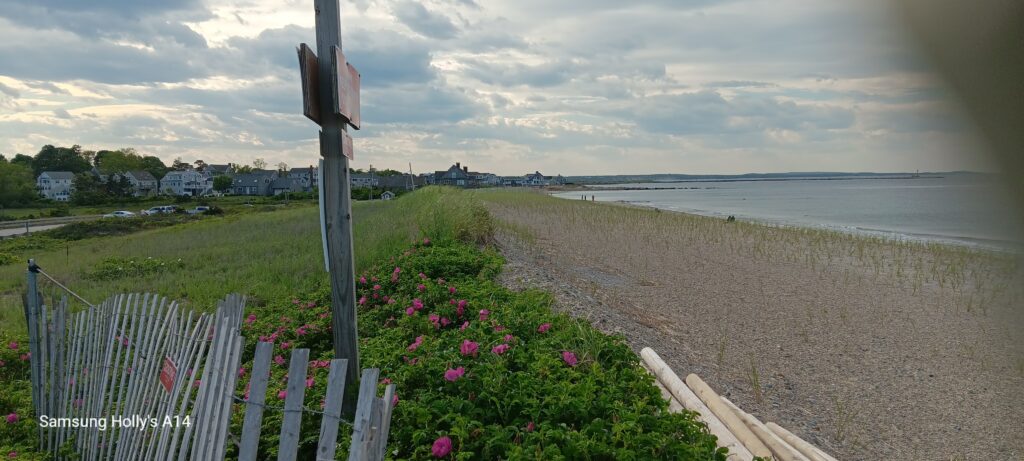 a fence and a beach (MyCoast AI)