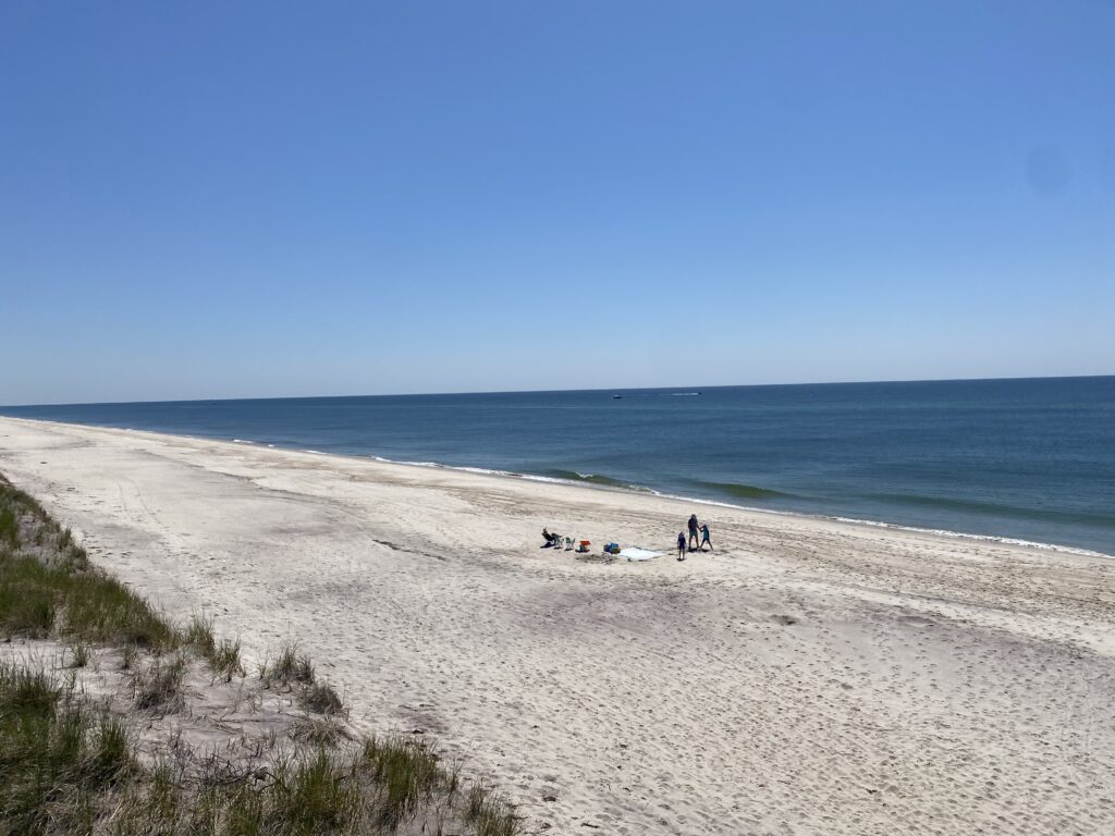 people on a beach (MyCoast AI)
