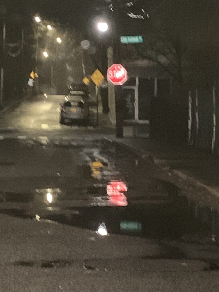 a stop sign on the street (MyCoast AI)