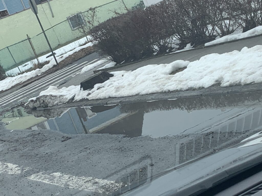 a window with snow on it (MyCoast AI)