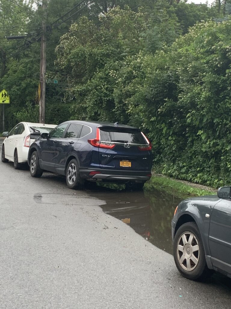 a group of cars parked on a road with trees on the side (MyCoast AI)