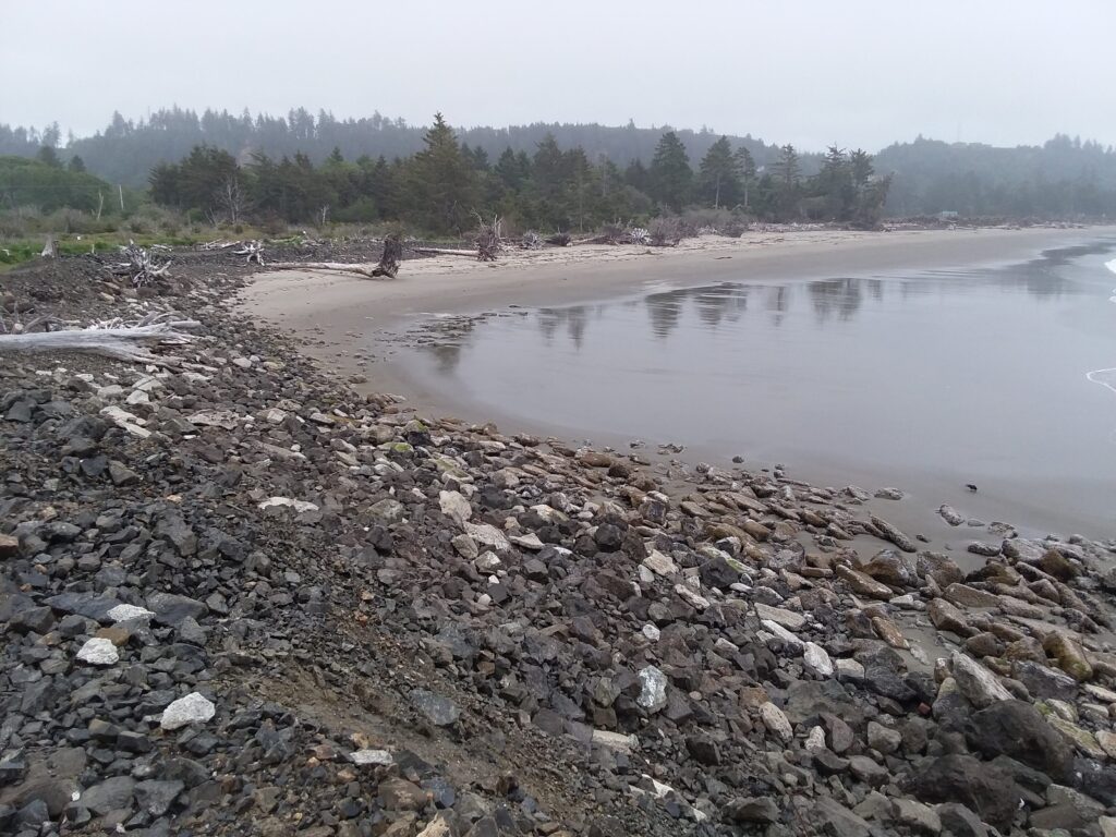 a rocky shore with a body of water and trees in the background (MyCoast AI)
