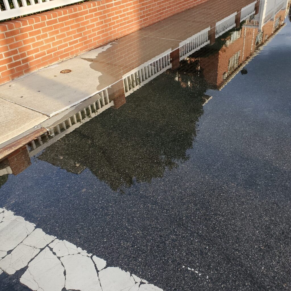 a pool of water (MyCoast AI)