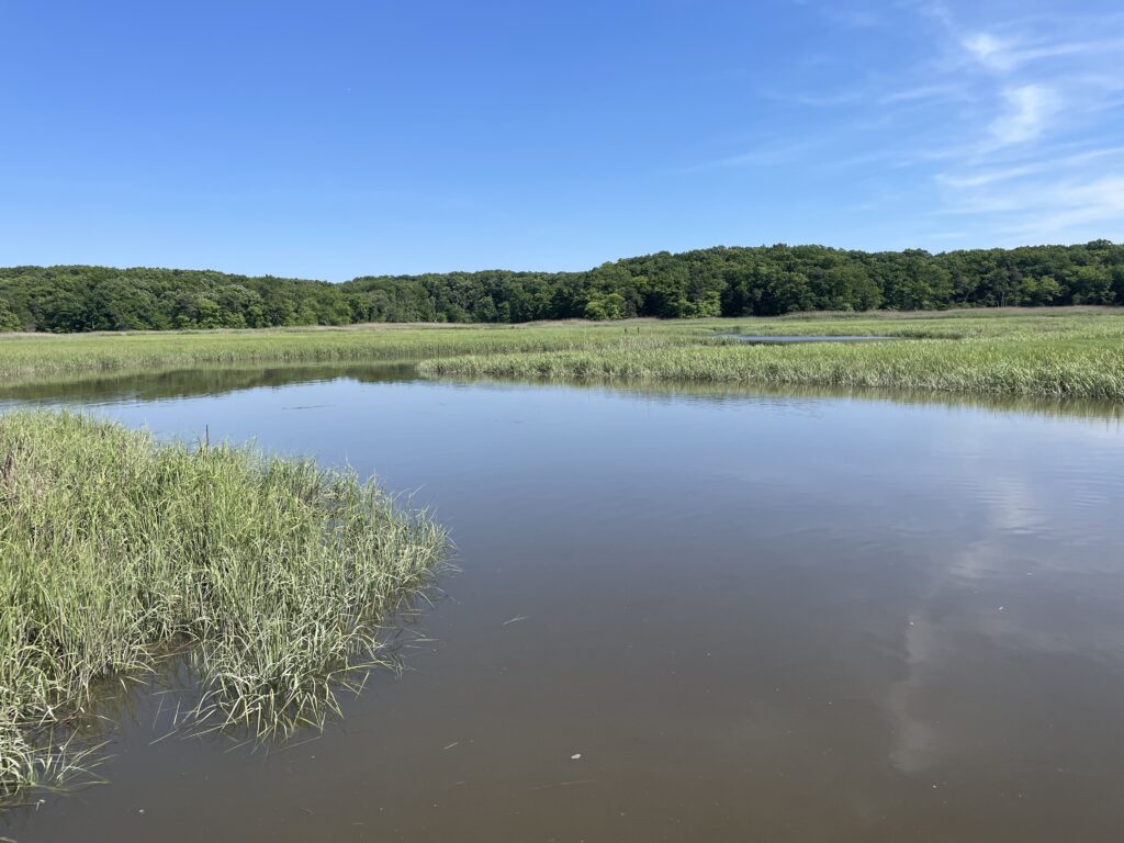 a body of water with grass and trees in the background (MyCoast AI)