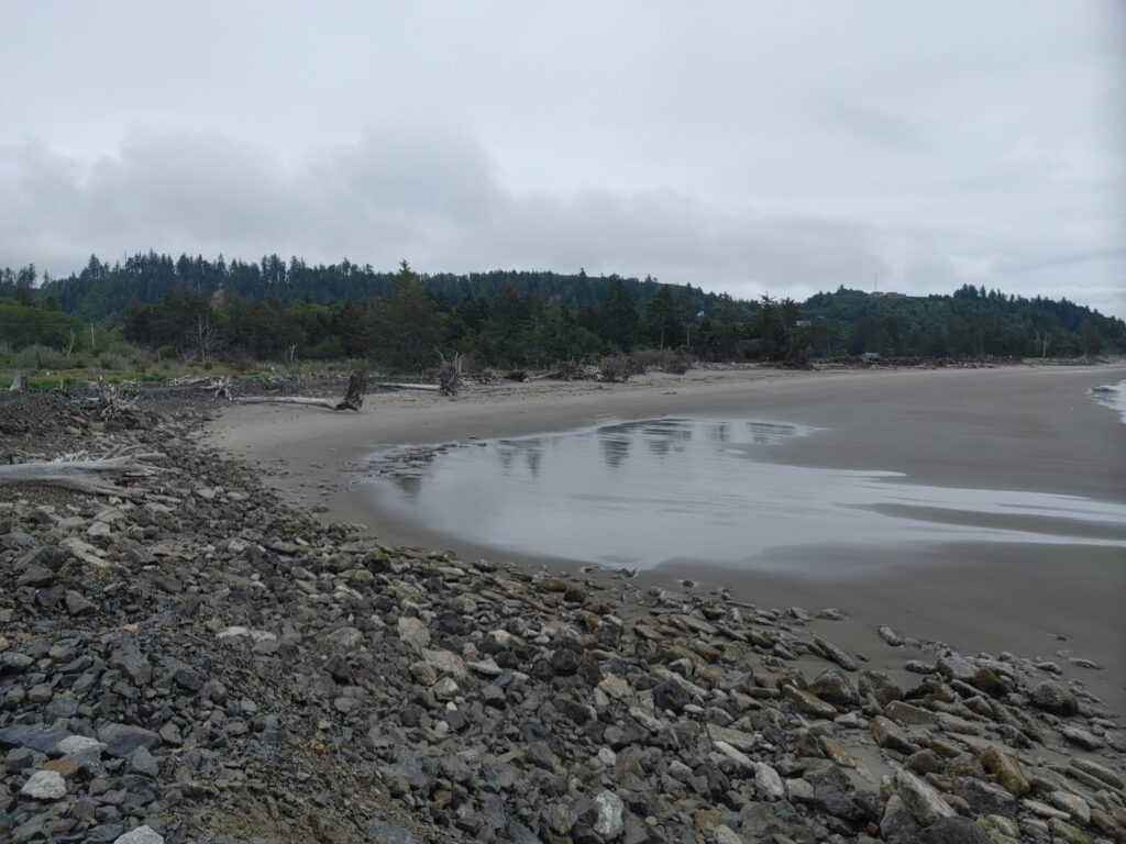 a rocky beach with trees in the background (MyCoast AI)