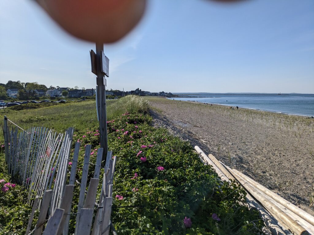 a train track next to a beach (MyCoast AI)