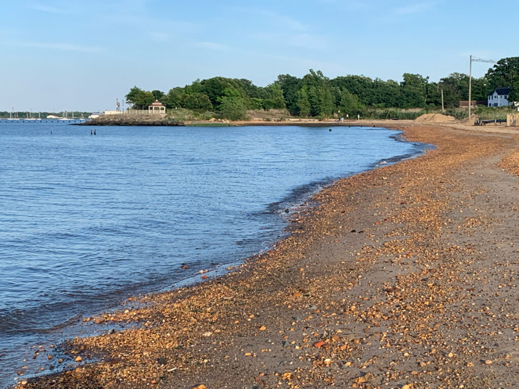 a beach with a body of water (MyCoast AI)