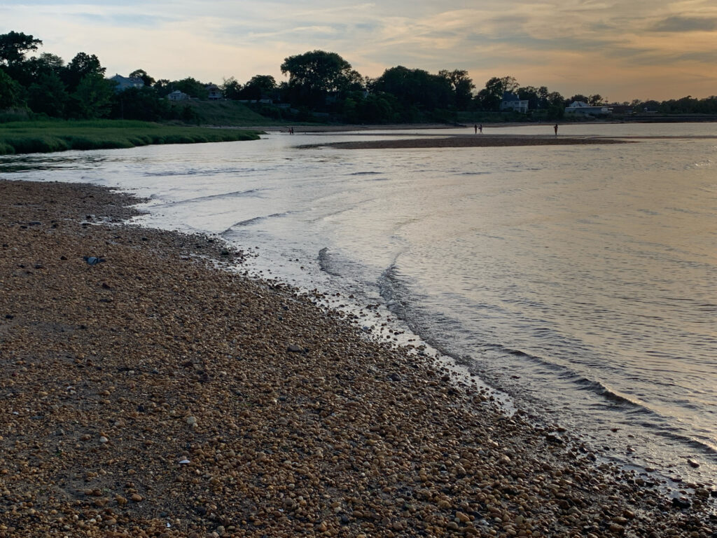 a muddy river bed (MyCoast AI)